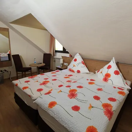 Waldhotel Albachmuehle 3*