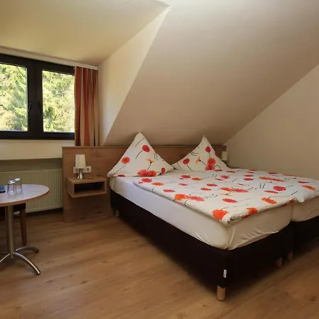 Waldhotel Albachmuehle 3* Wasserliesch