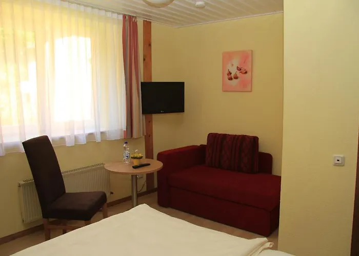 Hotel Waldhotel Albachmuehle Mit Albacher Stuben 3*